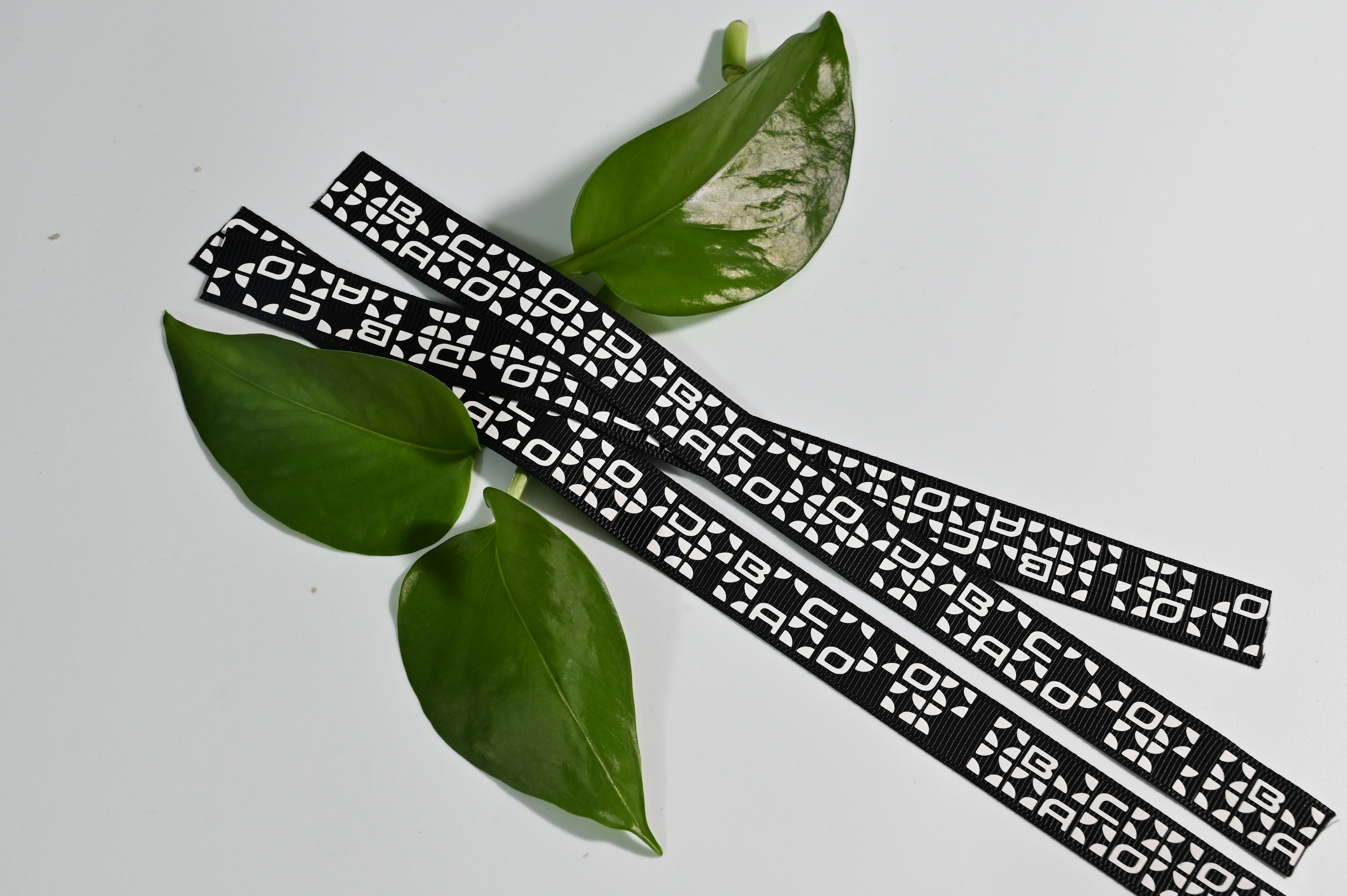 Renewable Yarn Webbing